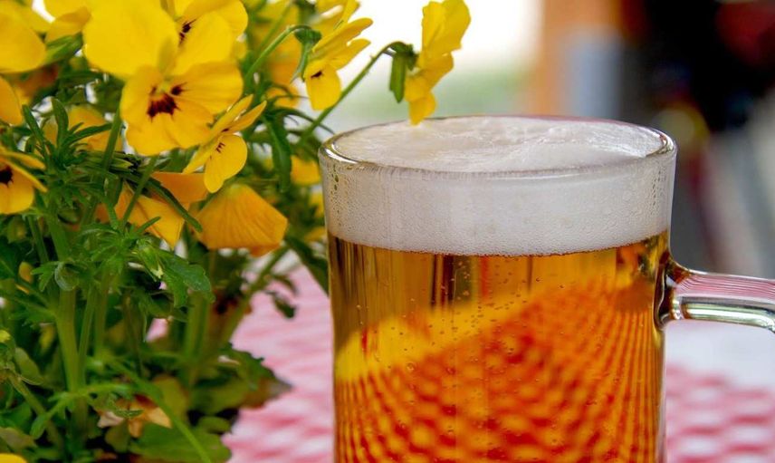 Rüyada bira içmek ne anlama gelir? Rüyada bira içmenin anlamı ve tabiri