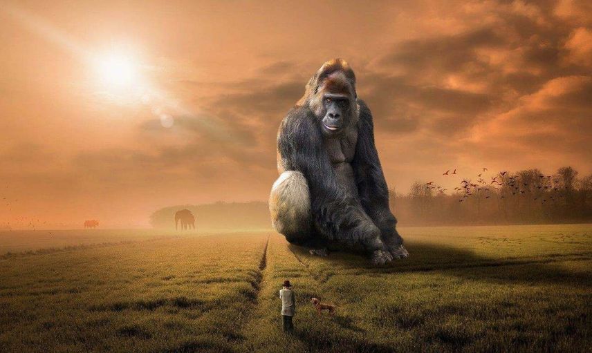 Rüyada dev görmek ne anlama gelir? Rüyada dev görmenin anlamı ve tabiri
