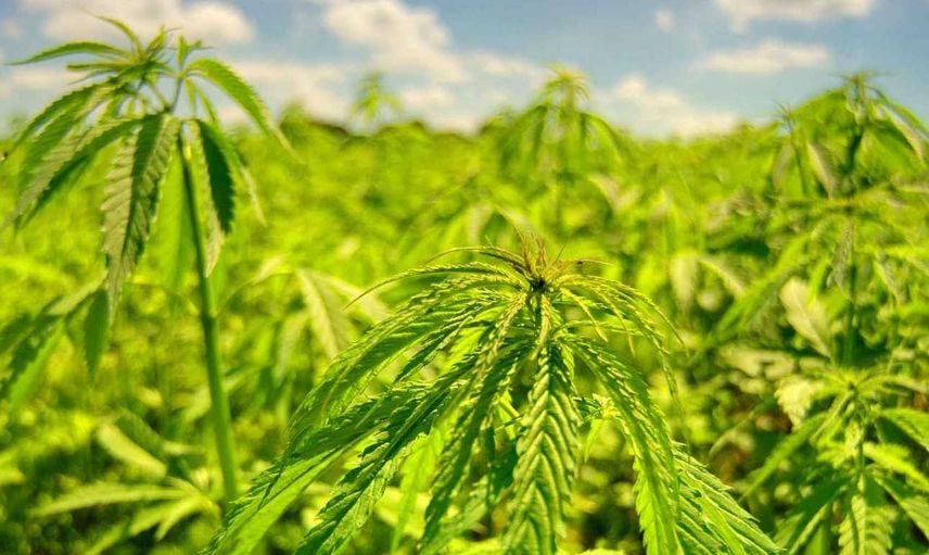 Rüyada eroin görmek ne anlama gelir? Rüyada eroin görme anlamı