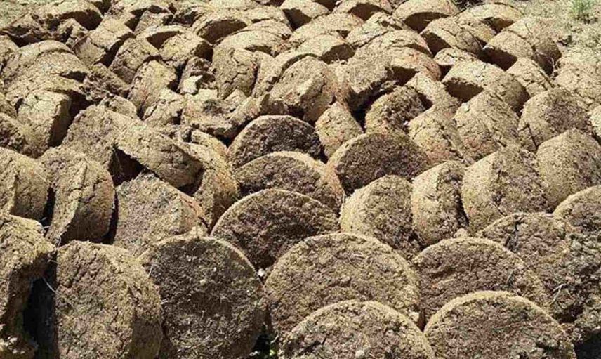 Rüyada hayvan dışkısı görmek ne anlama gelir? Rüyada hayvan dışkısı görmenin anlamı