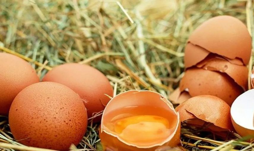 Rüyada yumurta görmek ne anlama geliyor? Rüyada yumurta görmenin psikolojik yorumu nedir? Nelere dikkat etmek gerekir?