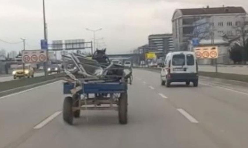 Sahibinin elinden kaçan at Bursa trafiğinde tehlikeli anlar yaşattı: Sahibi peşinden koştu