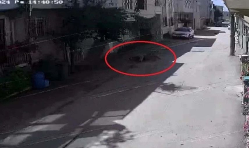 Sahipsiz köpeklerin saldırısı: Bursa'da 3 çocuktan 2'si yaralandı, o anlar güvenlik kamerasında!