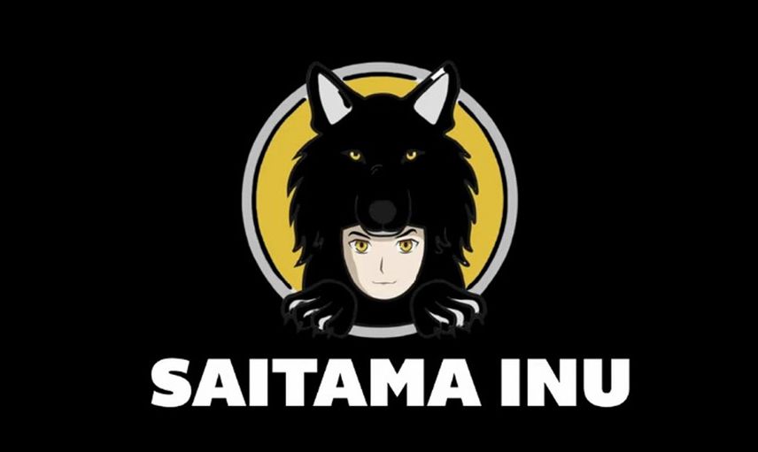 Saitama Inu Nedir, Geleceği ve Yorumları Nasıl?