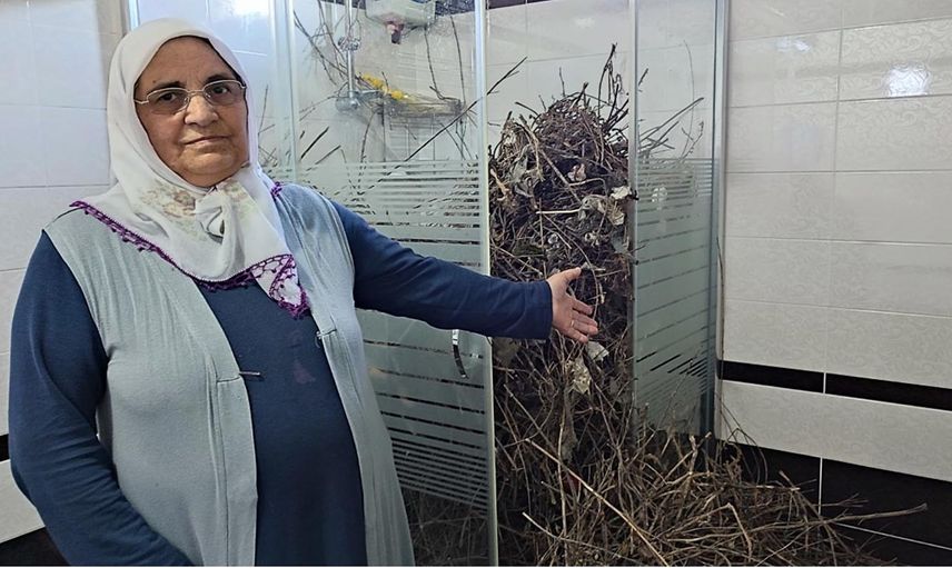 Sakarya'da iki yıl aradan sonra eve giren aile manzara karşısında şaşkına döndü!