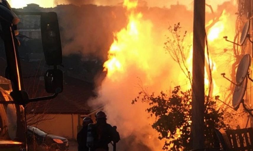 Sakarya'da Korkutan Yangın