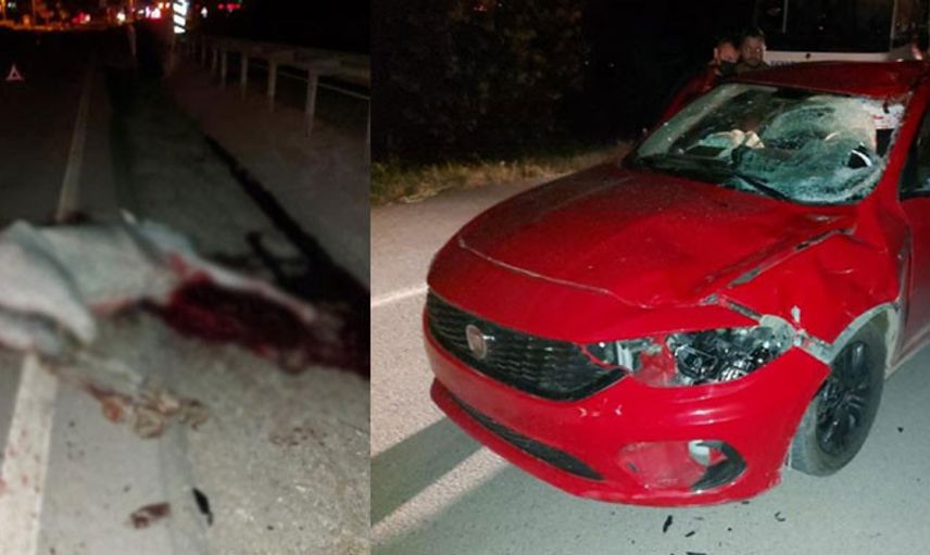 Sakarya'da Bir Otomobil Aniden Karşısına Çıkan Ata Çarptı