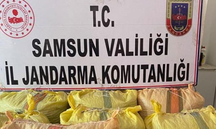 Samsun’da 700 Kilogram Fındık Çalan Şahıs Yakalandı