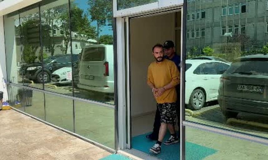 Samsun'da kediye tekme atan kişi tutuklandı