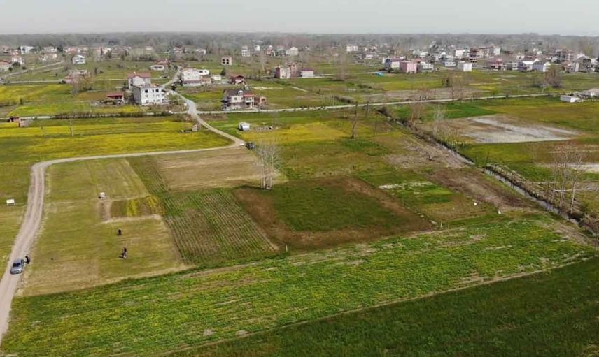 Samsun’da üretilen göl soğanlarından 1 tanesini izinsiz koparana: 112 bin TL ceza kesiliyor!