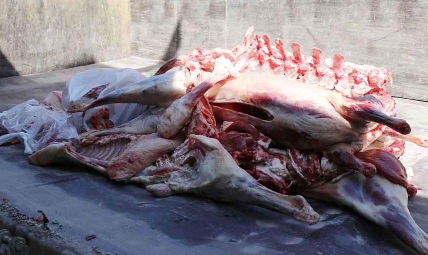 Şanlıurfa’da akıl almaz olay: Satışa hazır 1 ton 250 kilo bozuk et ele geçirildi!