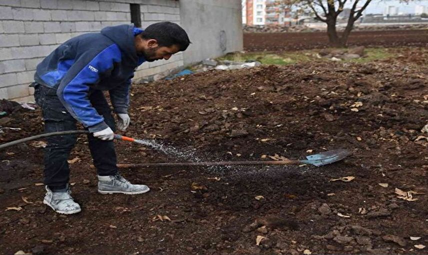 Şanlıurfa'da Genç Girişimci Solucanla Organik Gübre Üretiyor