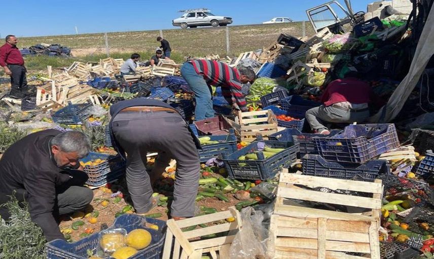 Şanlıurfa’da lavanta tarlasına uçan sebze kamyonu tarlada büyük hasar bıraktı!