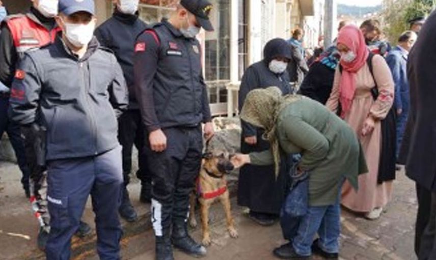 Selde Köpeğini Kaybeden Kadın Arama Çalışmalarını Sürdürüyor