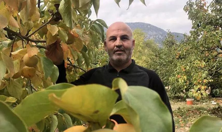 Senede 500 Ton Kuru Hurma Üreten Girişimcinin Hayali İhracat Yapmak!