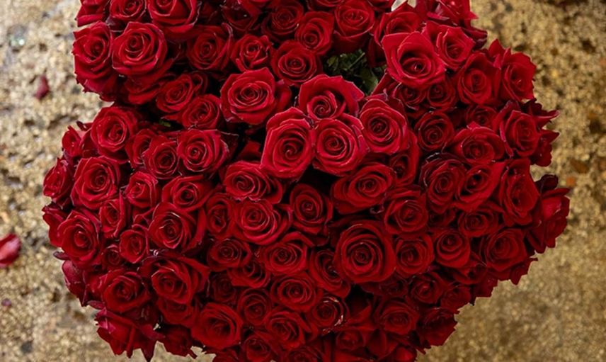 Sevgililer Günü'nün Simgesi Gülde Geçen Yıl İhracat Rekoru Kırıldı: 775 Bin 917 Dolar!