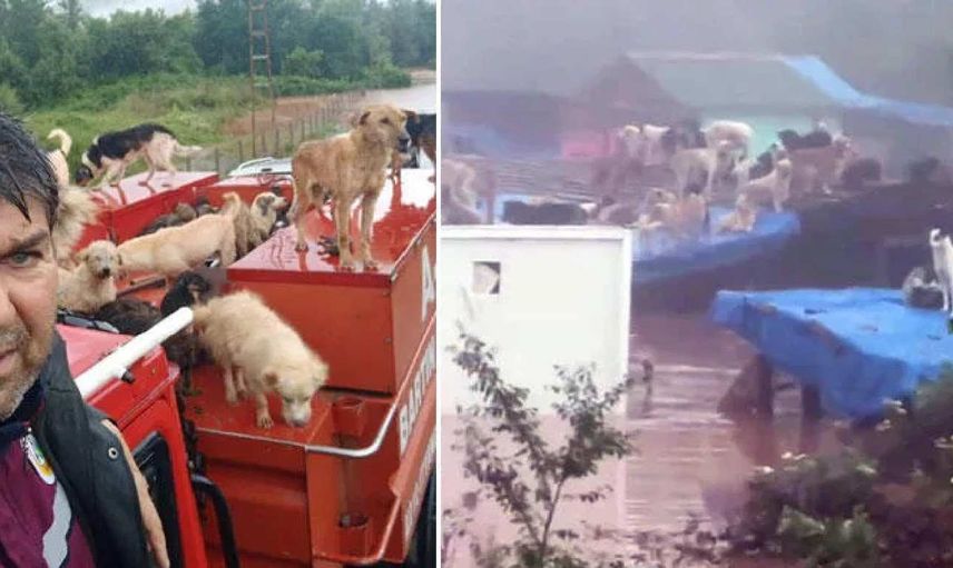 Sevim Arkan kimdir? Sevim Arkan ne yaptı, neden gündemde?
