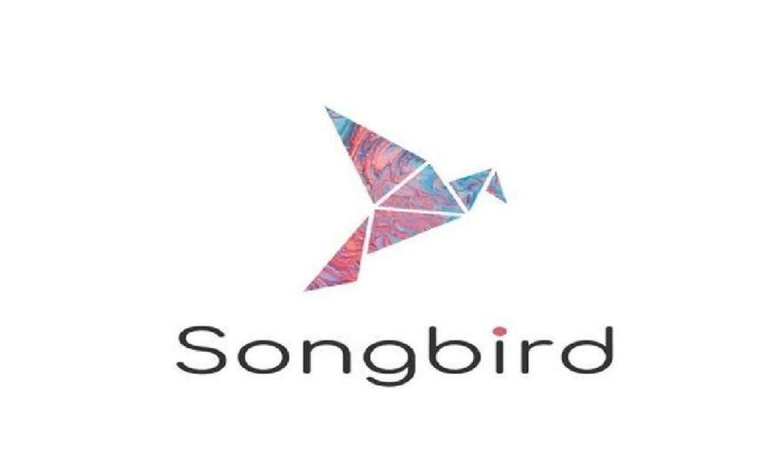 Sgb coin nedir? Songbird coin projesi ve yol haritası