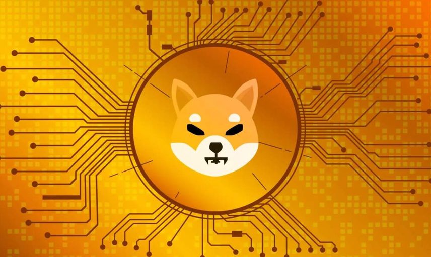 Shiba coin nedir, kaç dolar oldu? Shiba coin alınır mı, geleceği var mı?