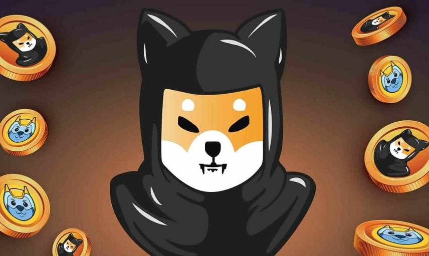 SHINJA coin nedir? Shibnobi coin projesi ve yol haritası