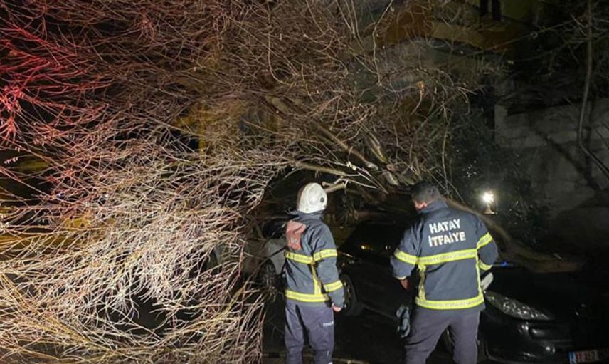 Şiddetli Fırtınayla Ağaçlar Araçların Üzerine Devrildi