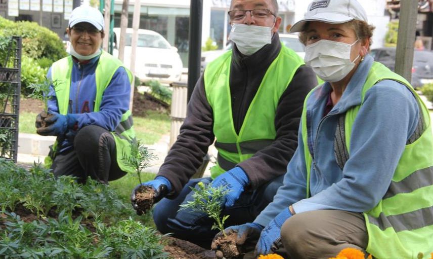 Sinop Yaz Sezonunu Açtı! 40 Bin Çiçek Ekiliyor