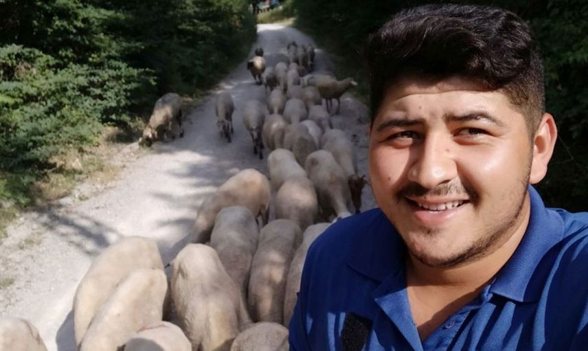 Sinop'ta Ay Yıldızlı Koyun Sürüsü Görenlerin İlgi Odağı Oluyor