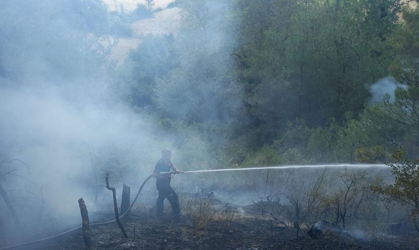 Sinop’ta Orman Yangını: Müdahale Devam Ediyor