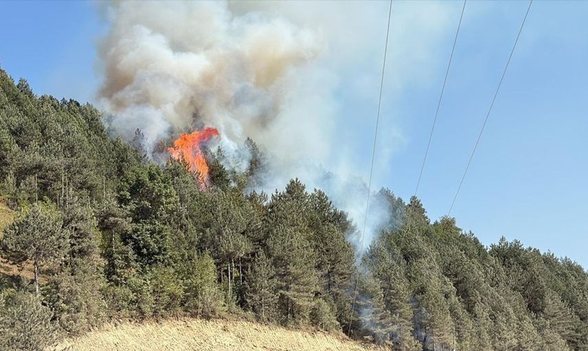 Sinop'ta Orman Yangınına Hızla Müdahale