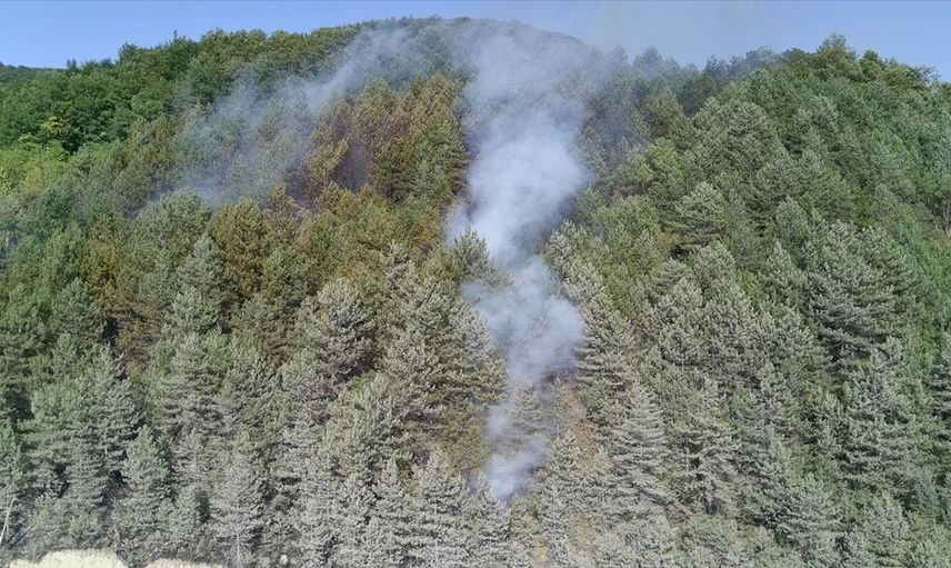 Sinop'taki Orman Yangını Kontrol Altına Alındı