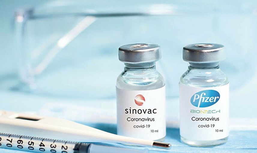 Sinovac mı Biontech mi Daha Fazla Antikor Üretiyor Tartışmalarına Son Verecek Araştırma!
