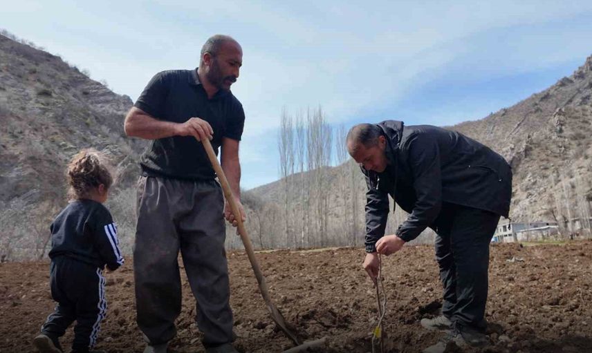 Şırnak’ta 25 Dönüm Arazisinde Devlet Destekli Meyve Bahçesi Kurdu