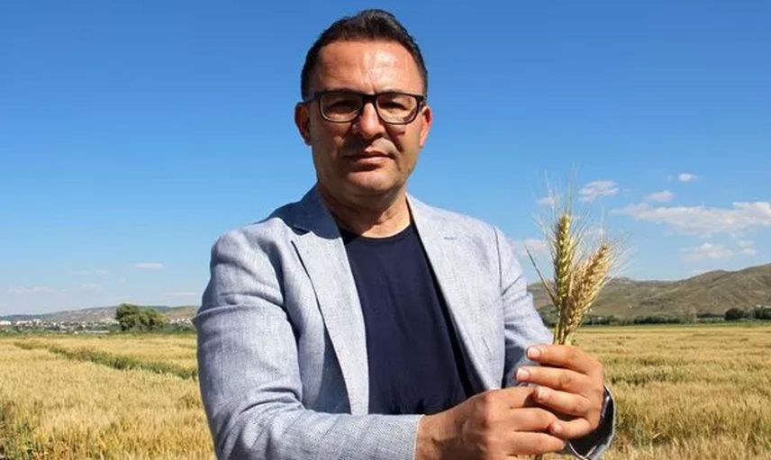 Sivas’ta devrim niteliğinde çalışma! Buğdayların verimi artacak, çiftçinin üretim maliyetlerini azaltacak!