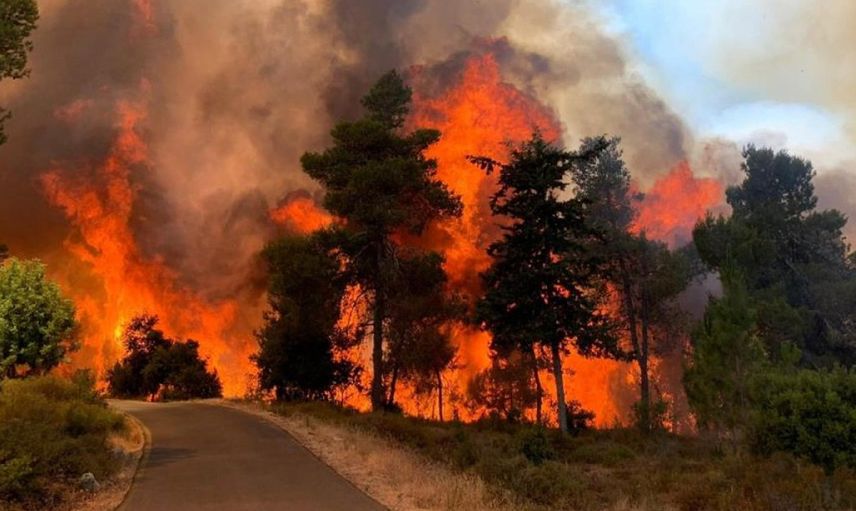 Son Dakika: 5 İlimizde Peş Peşe Orman Yangınları! Müdahaleler Sürüyor