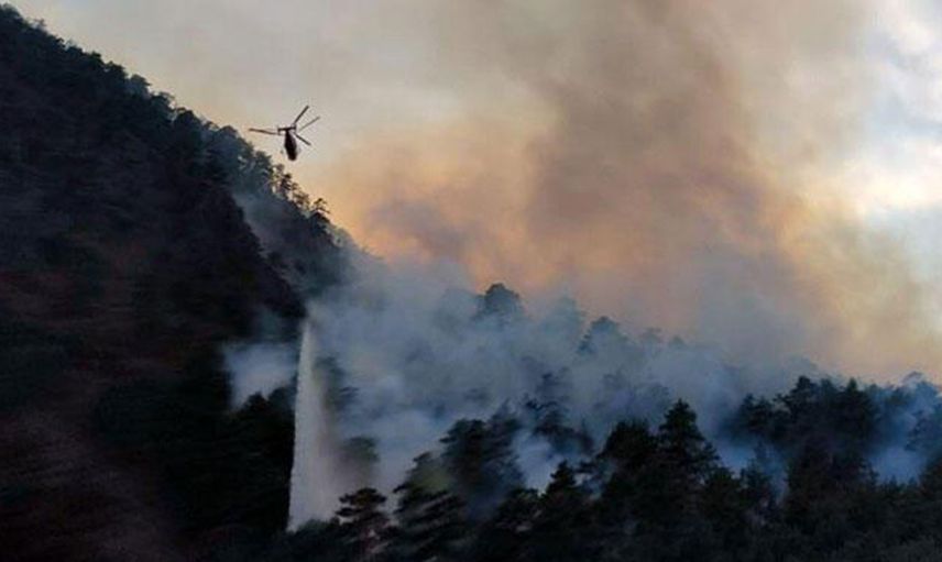 Son Dakika: Adana'da Ormanlık Alanda Yangın Çıktı!