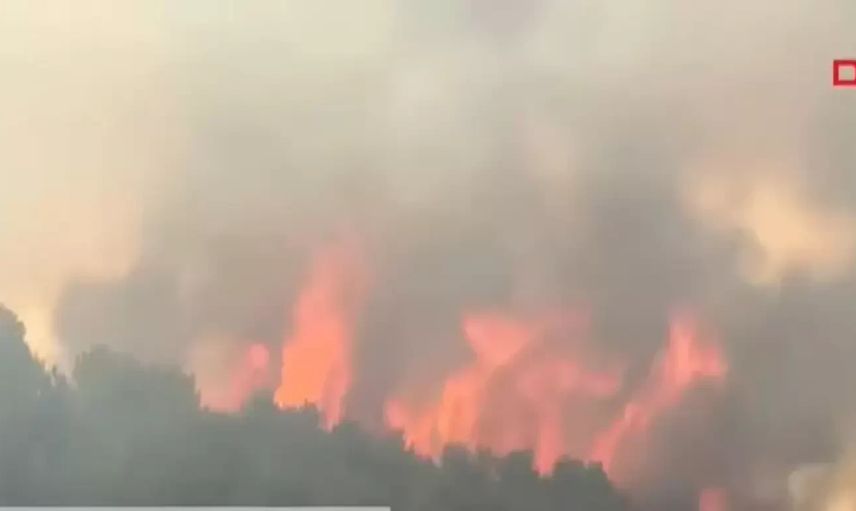 Son Dakika: Ankara Kızılcahamam'da Orman Yangını Çıktı!