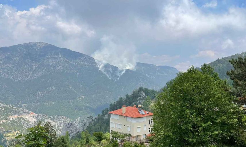 Son dakika: Antalya'da korkutan orman yangını!