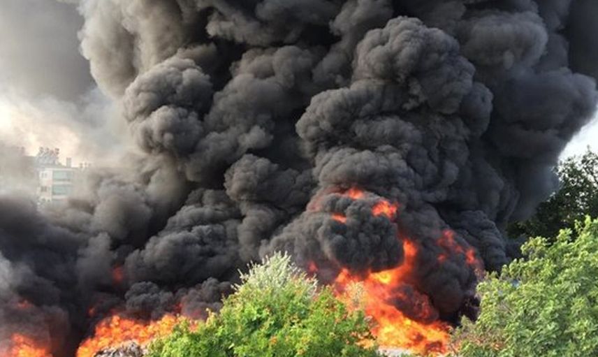 Son Dakika: Antalya'da Korkutan Orman Yangını Çıktı