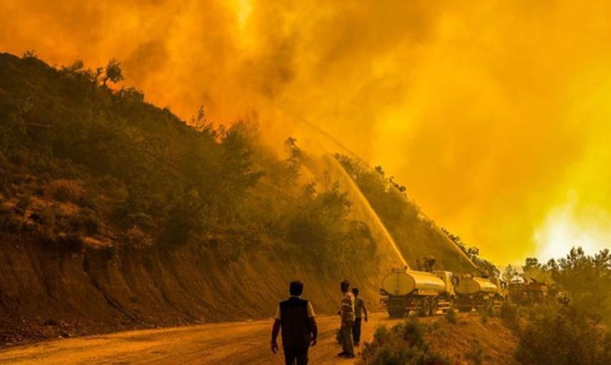 Son Dakika! Antalya'da Orman Yangını Çıktı