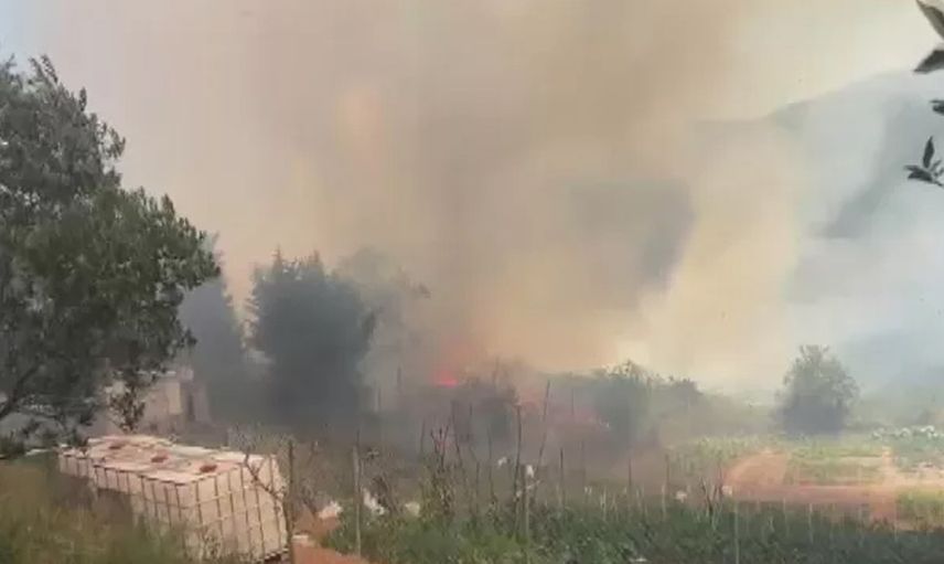 Son Dakika: Beykoz’da korkutan orman yangını, ekipler müdahale ediyor