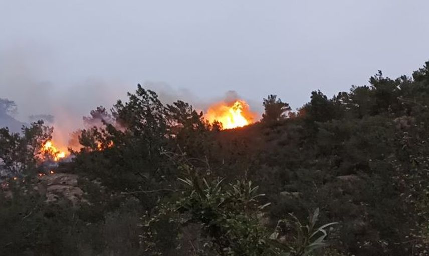 Son dakika: Bodrum’da ormanlık alanda yangın çıktı