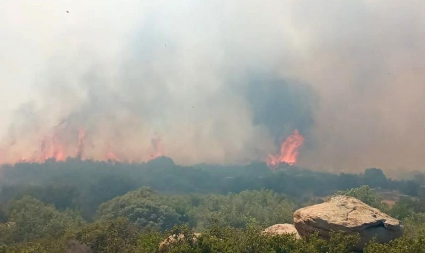 Son Dakika! Çanakkale'de korkutan orman yangını! Ekipler seferber oldu!