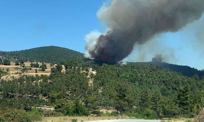 Son Dakika! Çanakkale'de korkutan orman yangını! Ekipler seferber oldu!