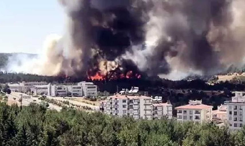 Son dakika! Gaziantep'te korkutan orman yangını: Ekipler seferber oldu