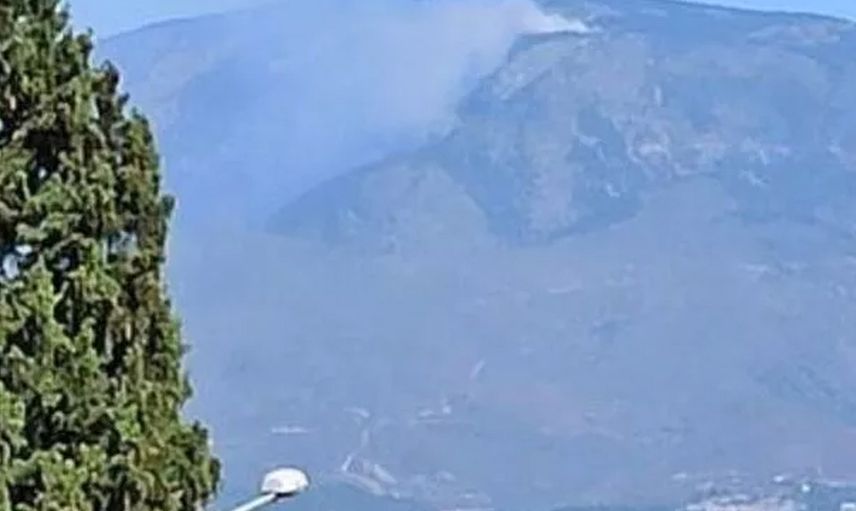 Son Dakika: Hatay'da Orman Yangını Paniğe Neden Oldu!