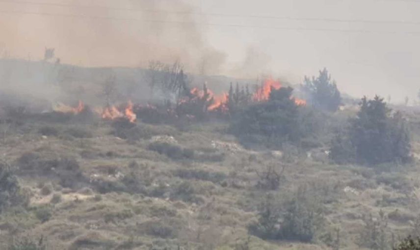 Son dakika: İzmir Çeşme'de orman yangını!