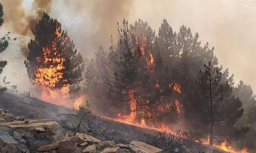 Son Dakika: Kahramanmaraş'ta Korkutan Orman Yangını Meydana Geldi