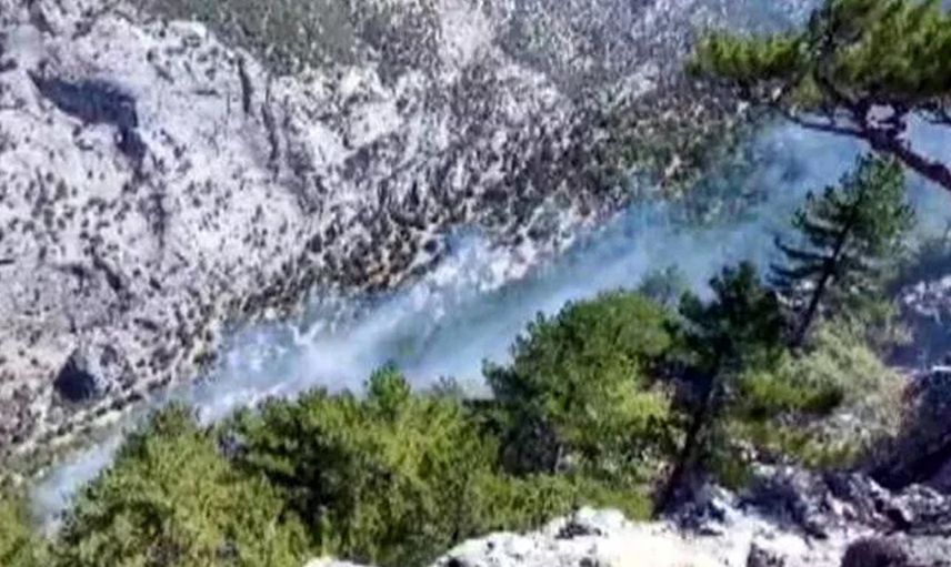 Son Dakika: Kahramanmaraş’ta Orman Yangını!