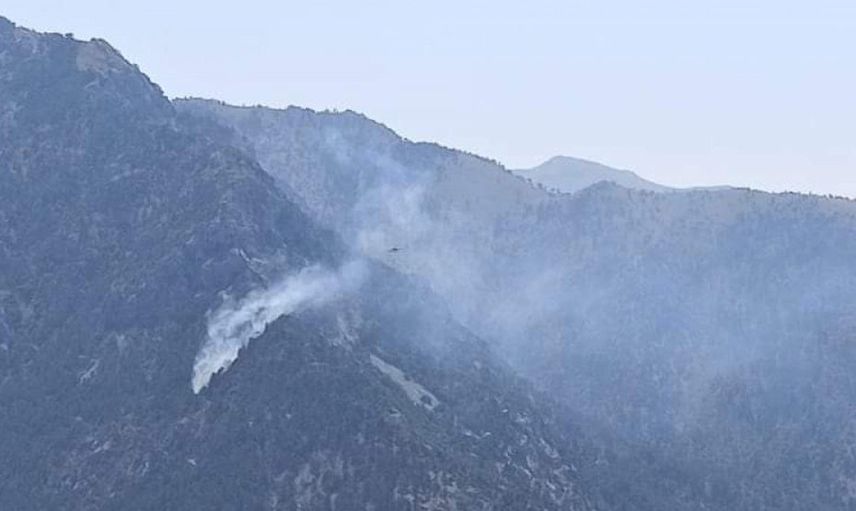 Son Dakika: Kahramanmaraş'ta Yangın Söndürme Uçağı Düştü