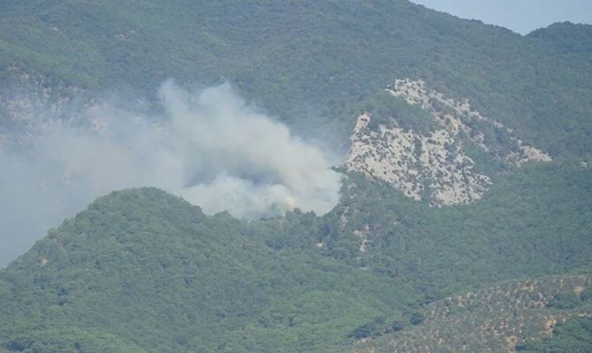 Son Dakika: Kazdağları'nda Orman Yangını Meydana Geldi!